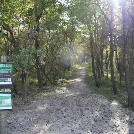 Apartment Fledermaus Gelbensande