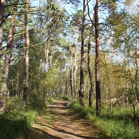 Fledermaus Apartment
