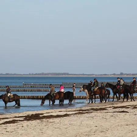 Apartment Fledermaus Gelbensande