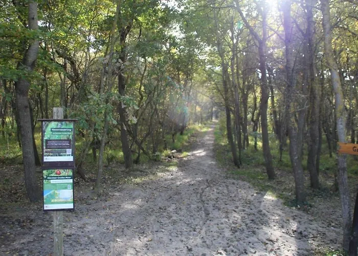 公寓 Fledermaus Gelbensande