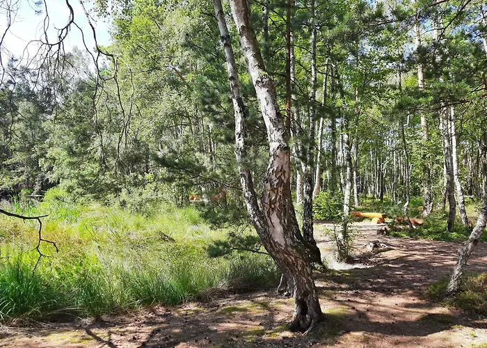 Fledermaus * Gelbensande